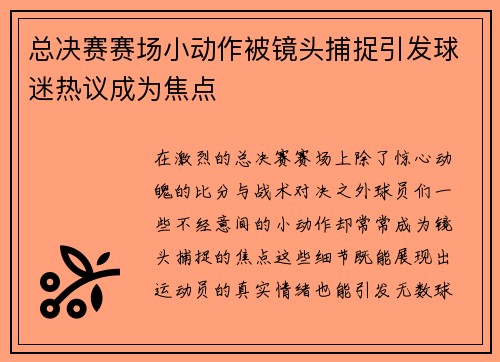 总决赛赛场小动作被镜头捕捉引发球迷热议成为焦点
